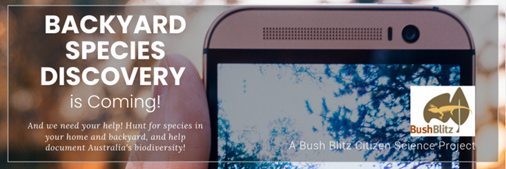 Bush Blitz