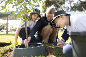 Trees for Good 3