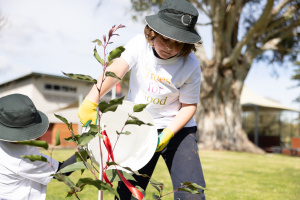 Trees for Good 4