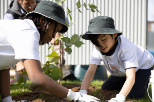 Trees for Good 5