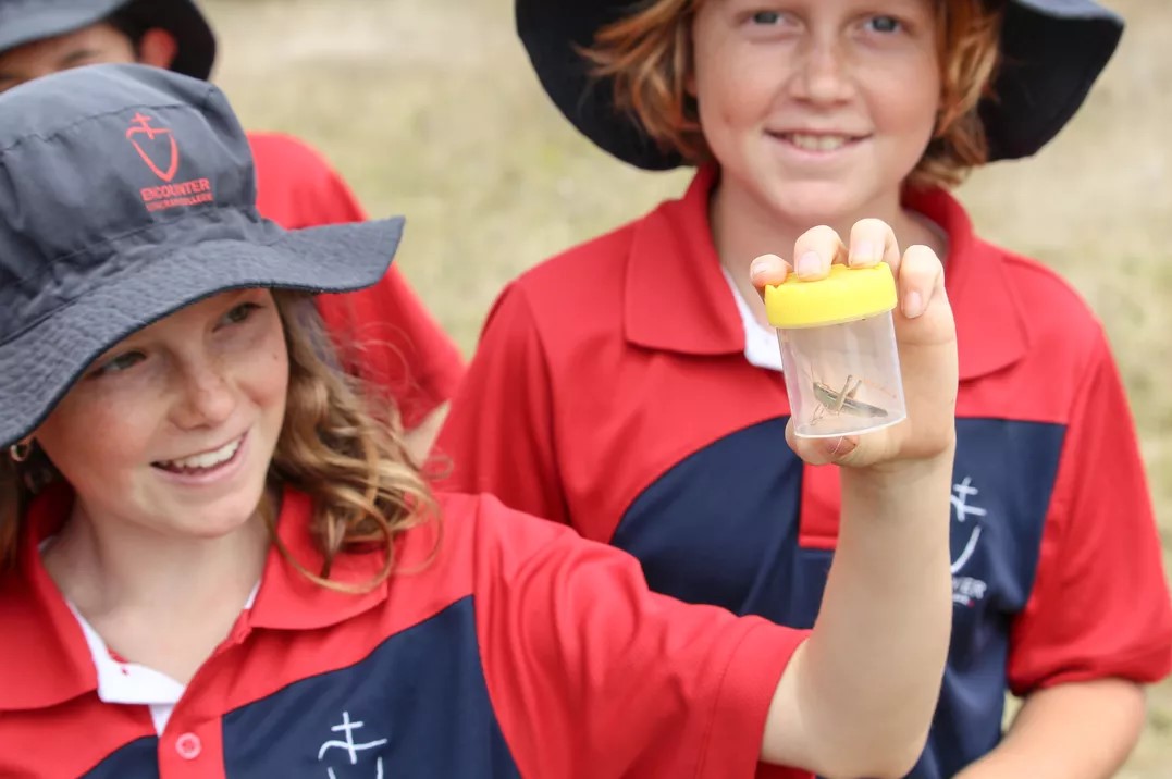 Regional school students buzzing over citizen science project results