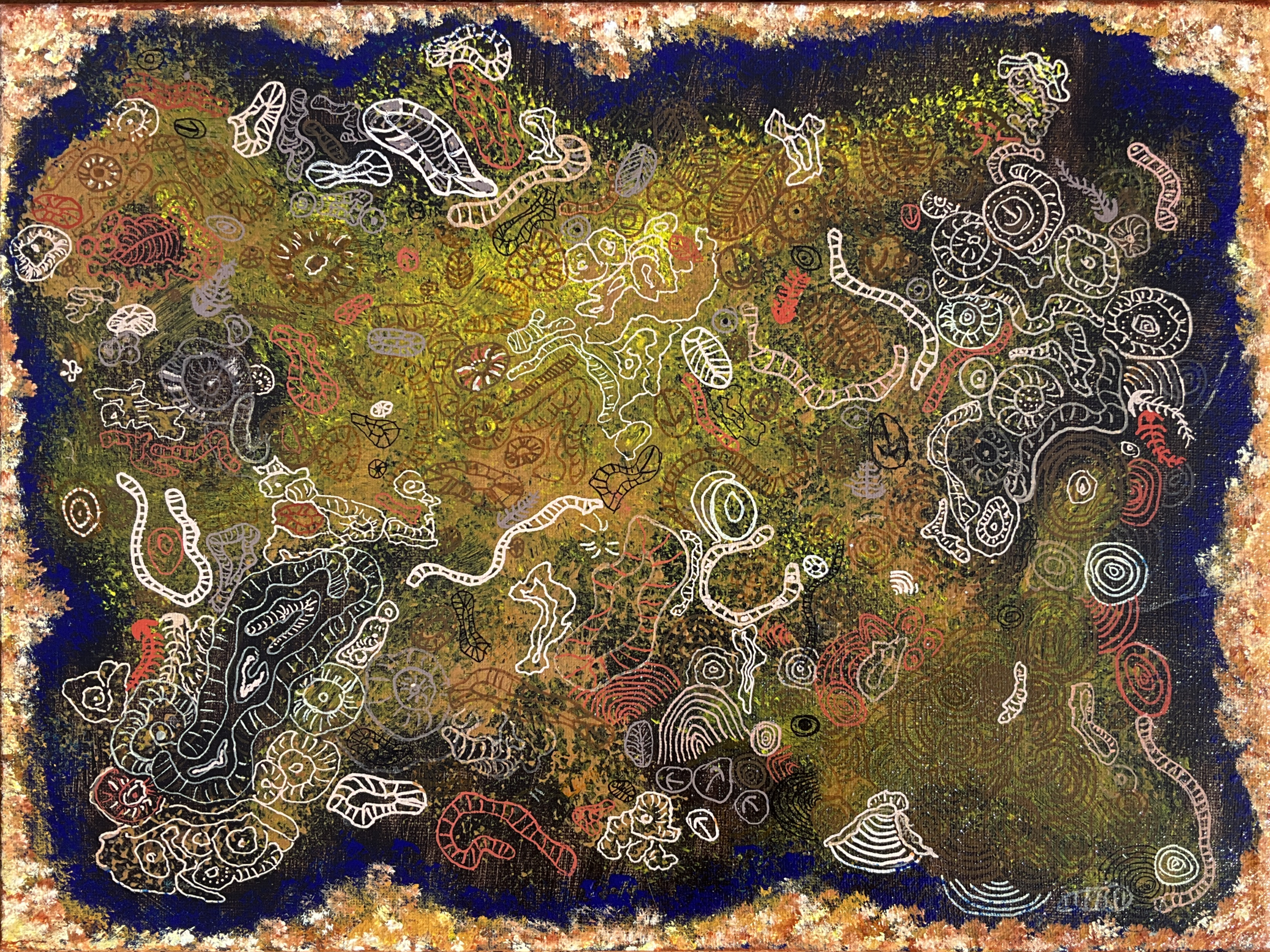 Anakin Harbour Mary Anning art prize2023