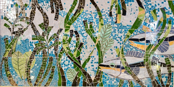 Seagrass Figure 5
