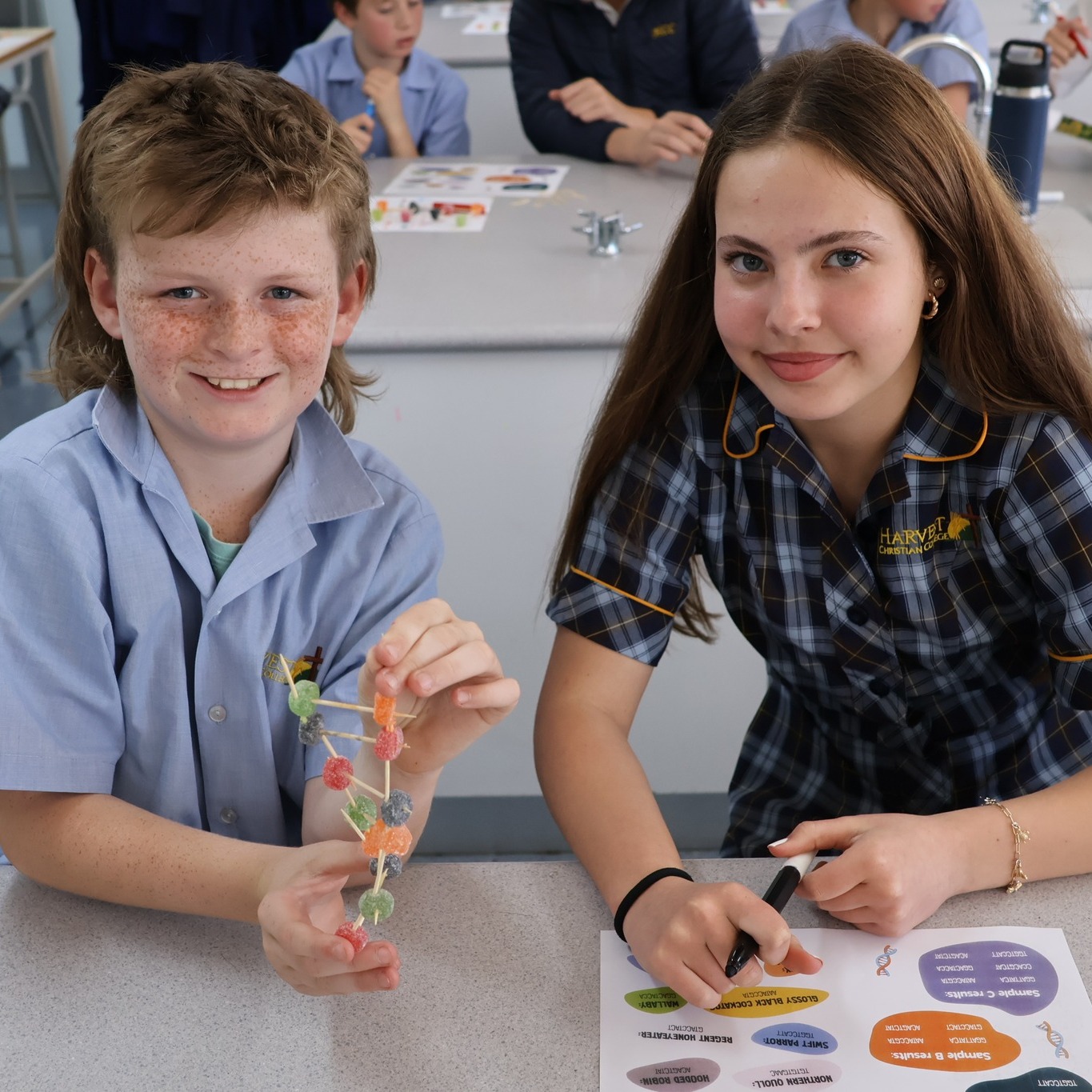 HCC - DNA lollies2