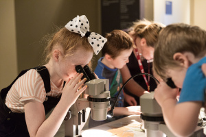 Discovery Centre Autism SA event Photo Sia Duff (4)