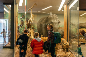 World Mammals Gallery School Holidays Photo Sia Duff (20)