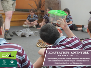 Adaptation Adventures