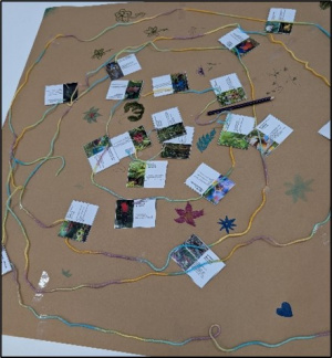 Biodiversity 5